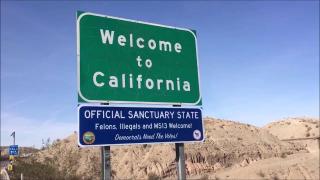 'SANCTUARY' FOR ILLEGALS BECOMES BLACKS' WORST NIGHTMARE